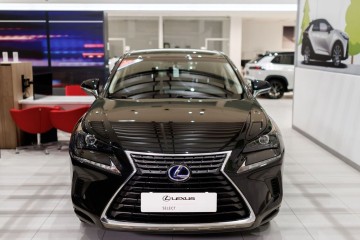 300h Elegance 2WD