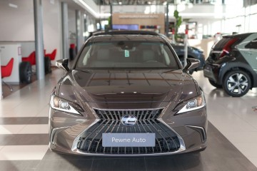 300h Business Edition