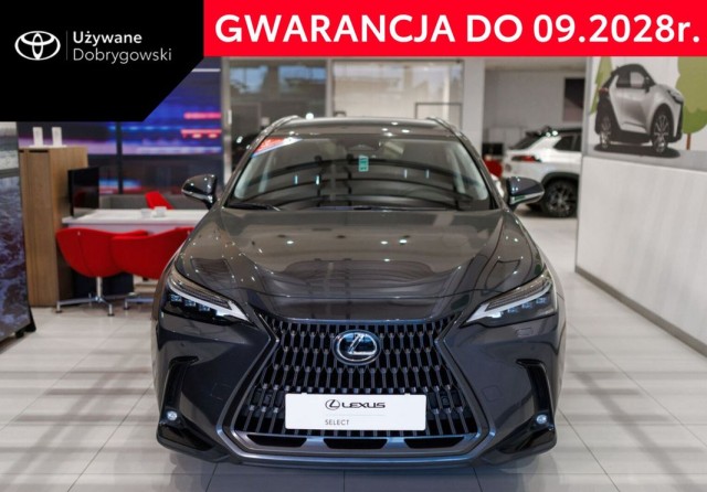 lexus