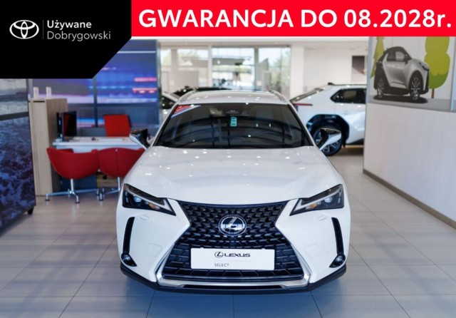 lexus