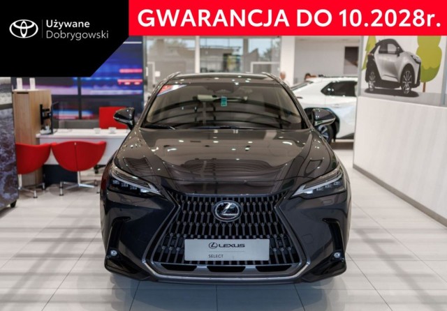 lexus