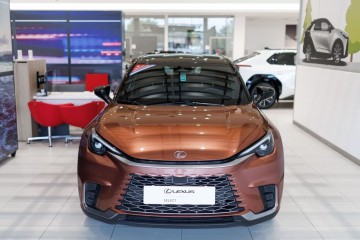 1.5 Hybrid Emotion