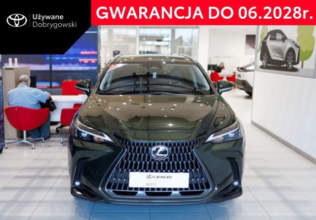 lexus