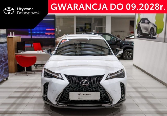 lexus