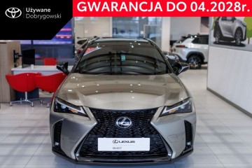 Lexus UX300H F-Sport Hybrid Dynamic Force